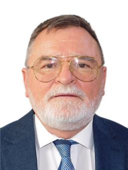 RADU MIHAILESCU